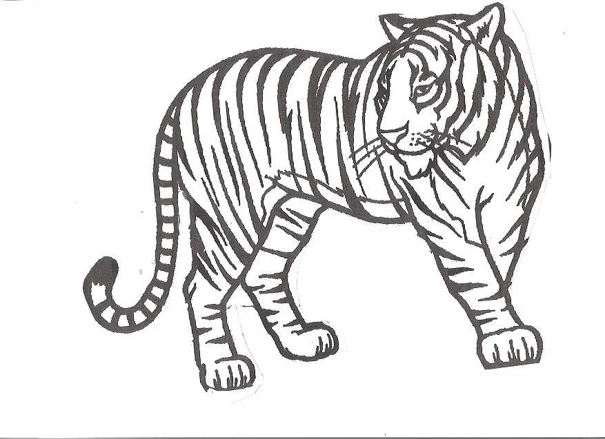 Tiger Coloring Pages 19