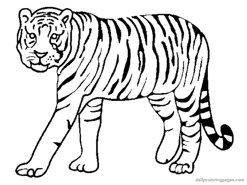 Desenhos de Tigre Para Colorir 20