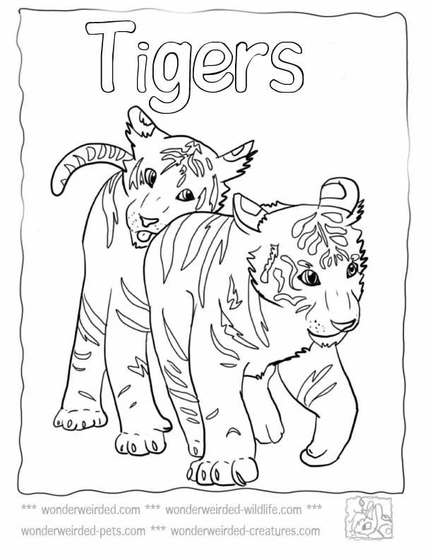 Desenhos de Tigre Para Colorir 24