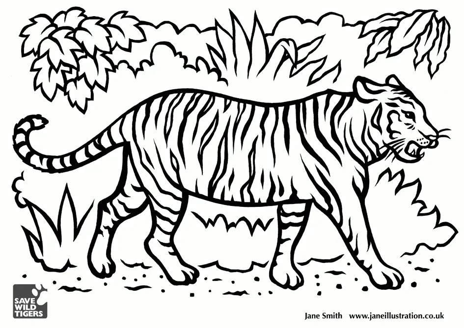 Desenhos de Tigre Para Colorir 41