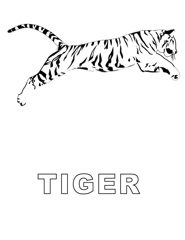 Tiger Coloring Pages 49