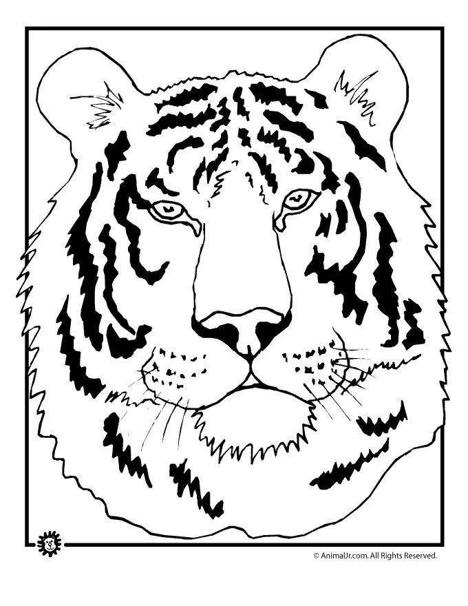 Tiger Coloring Pages 56