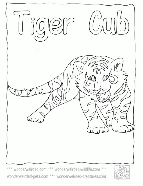 Tiger Coloring Pages 68