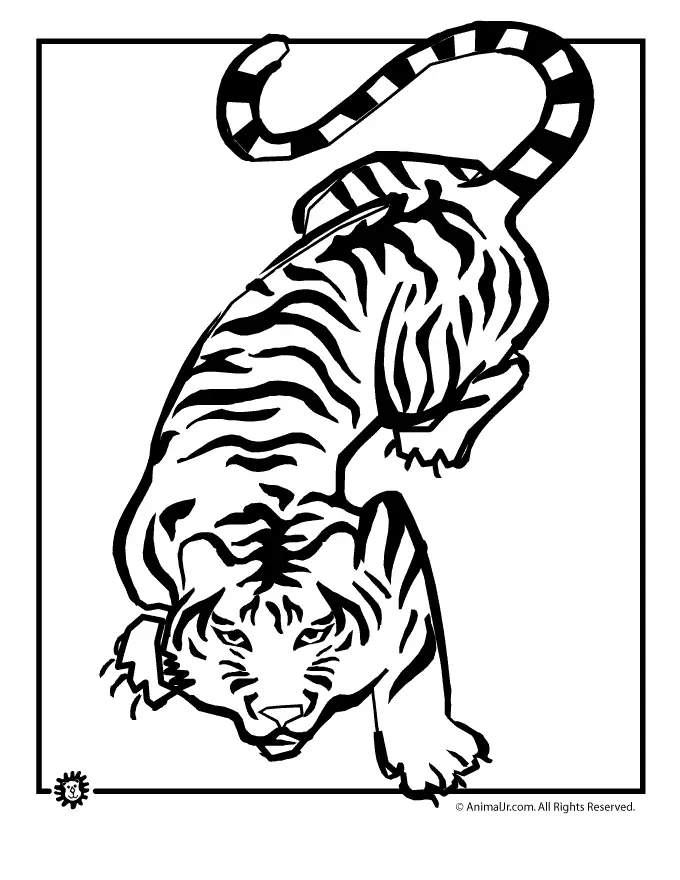 Tiger Coloring Pages 80