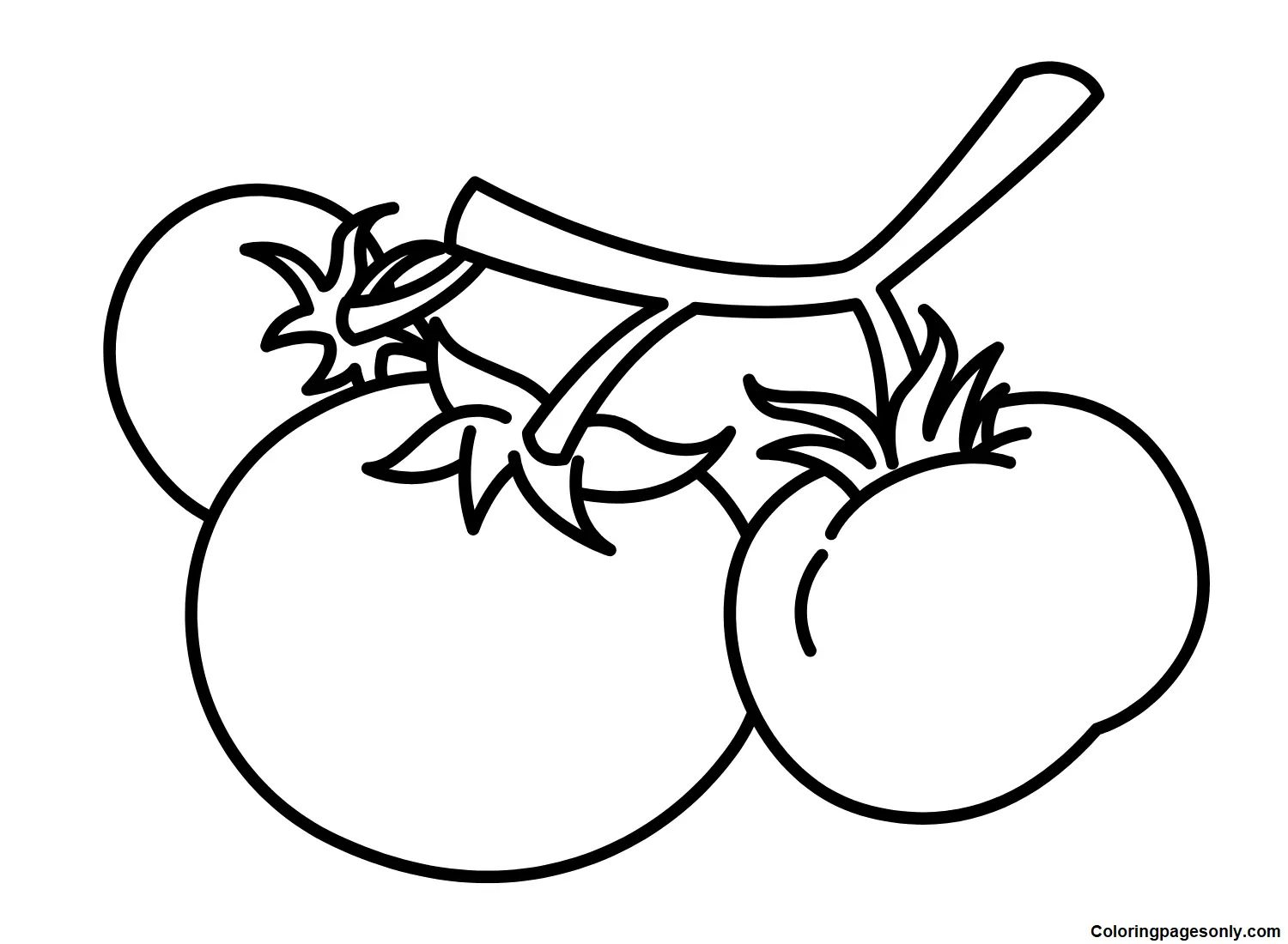 Tomato Coloring Pages 19