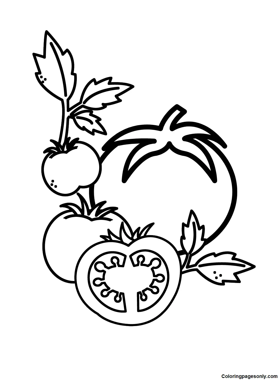 Tomato Coloring Pages 38