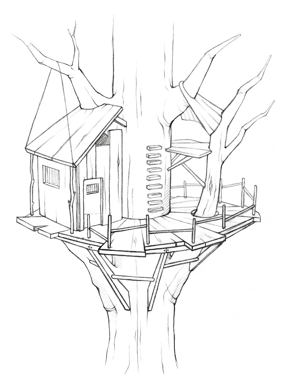 Casa Del arbol Para Colorear 19