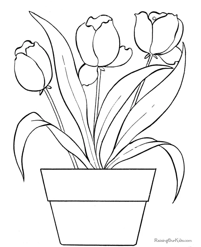 Tulpen Ausmalbilder 1