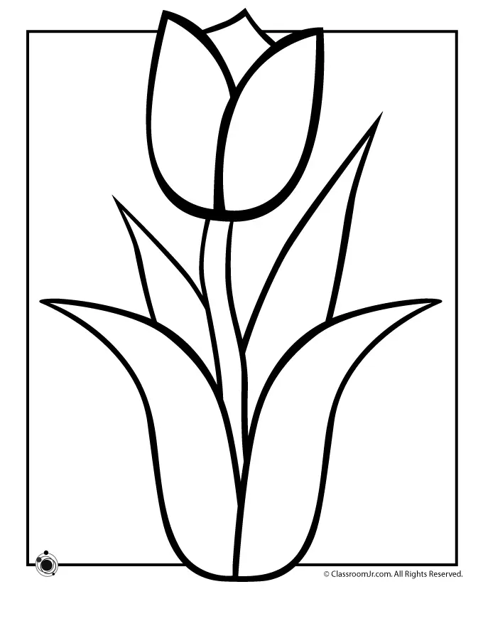 Tulpen Ausmalbilder 12