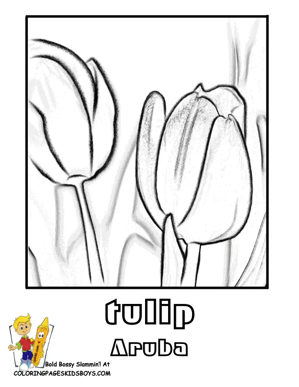 Tulpen Ausmalbilder 24