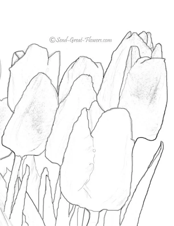 Tulpen Ausmalbilder 27