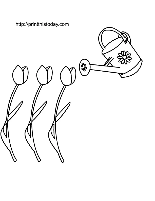 Tulpen Ausmalbilder 29