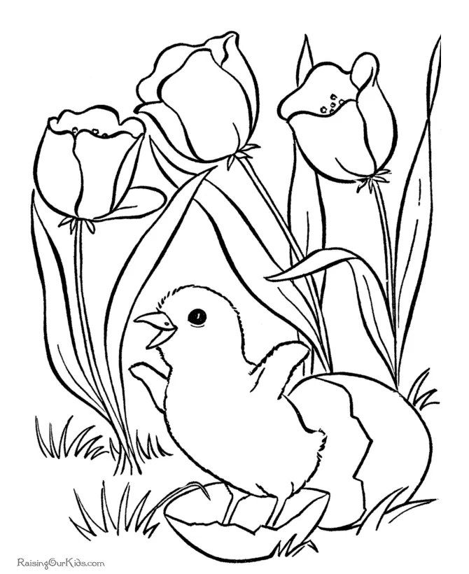 Tulpen Ausmalbilder 31
