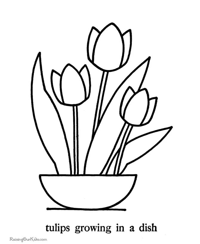 Tulpen Ausmalbilder 4