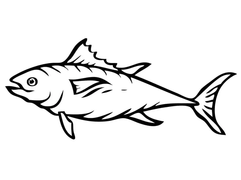 Tuna Coloring Pages 30