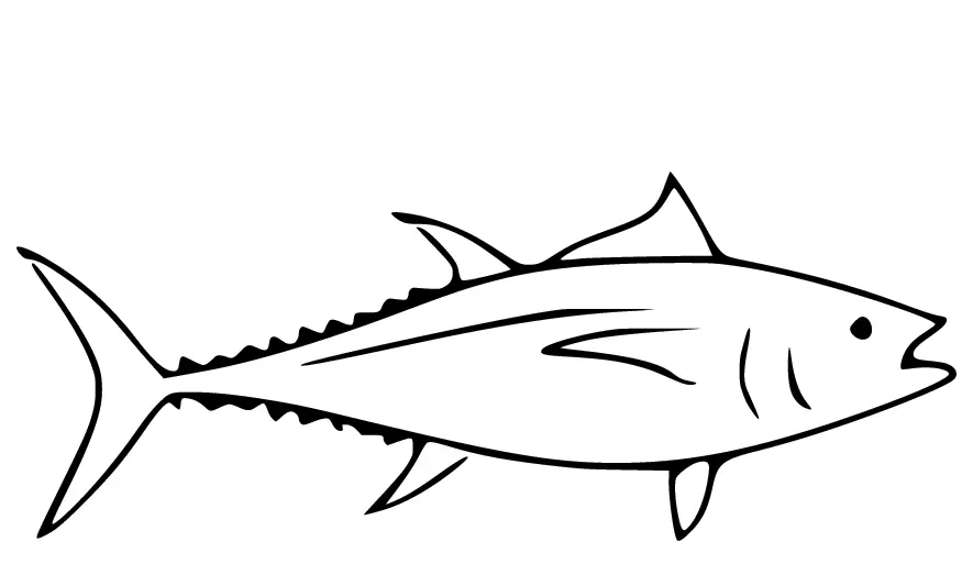 Thunfisch Ausmalbilder 37