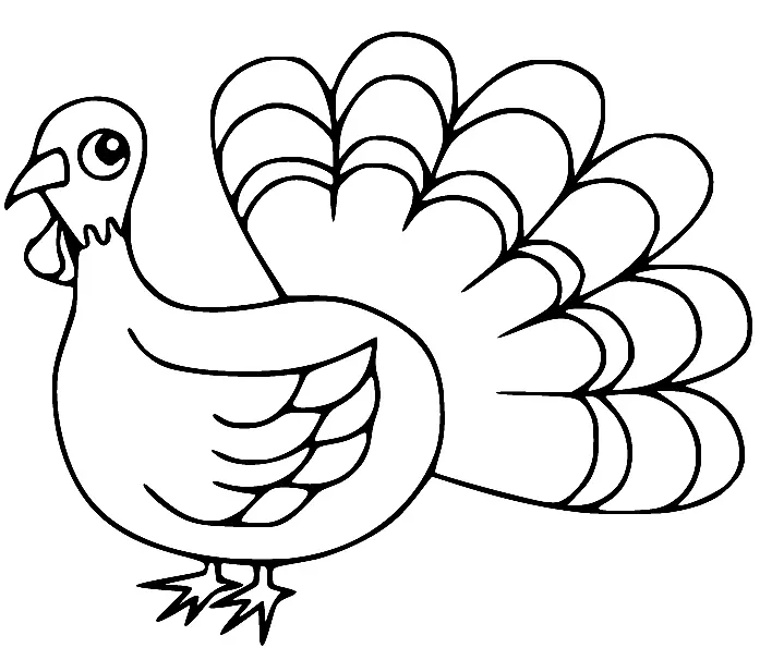 Pavo Para Colorear 66