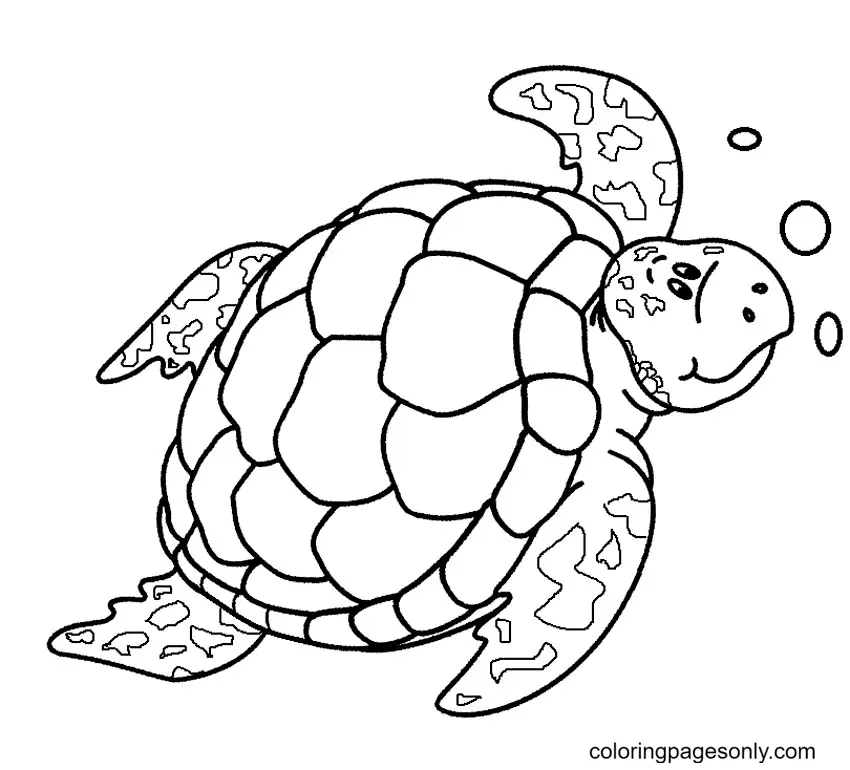 Turtle Coloring Pages 14