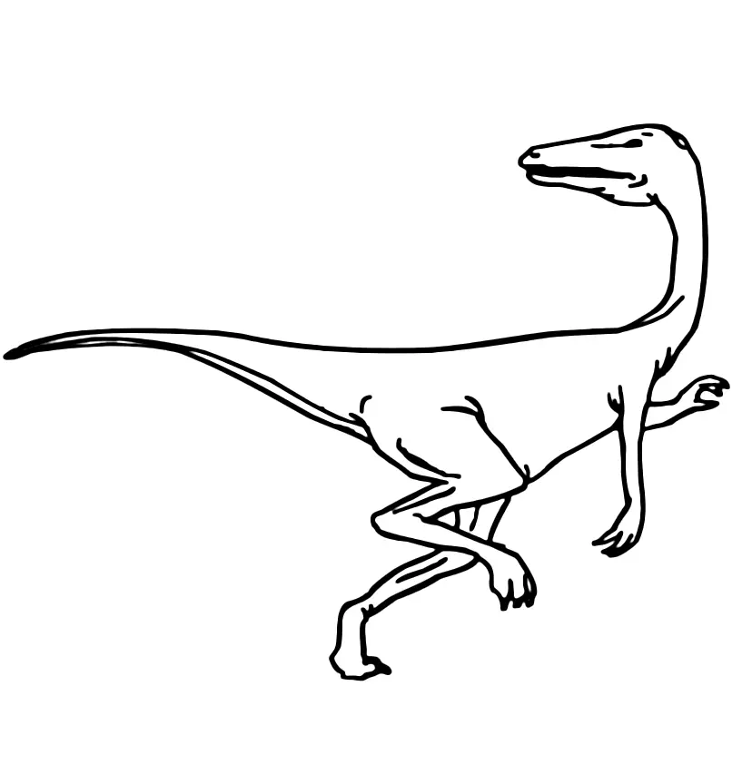 Velociraptor Coloring Pages 14