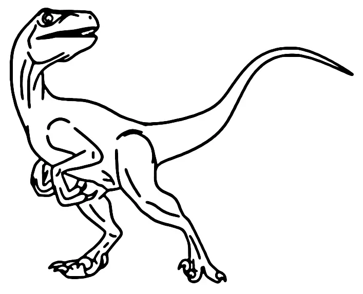 Velociraptor Ausmalbilder 17