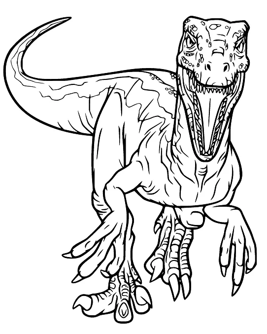 Velociraptor Ausmalbilder 20