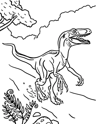 Desenhos de Velociraptor Para Colorir 3