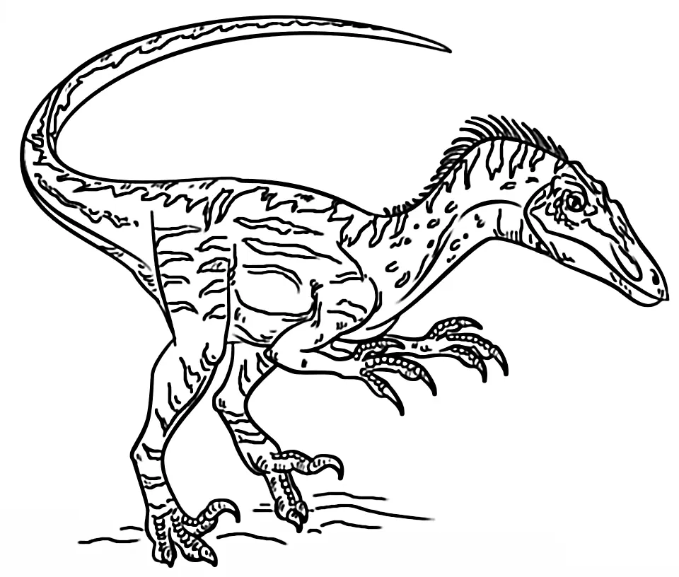 Velociraptor Coloring Pages 4