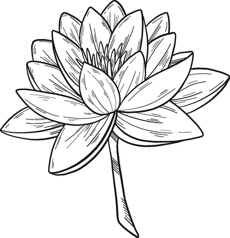 Water lily Coloring Pages 14