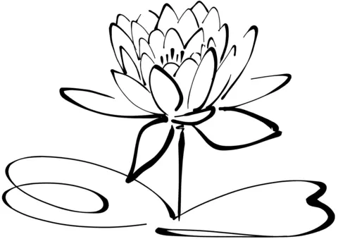 Water lily Coloring Pages 24