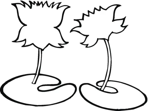 Water lily Coloring Pages 31