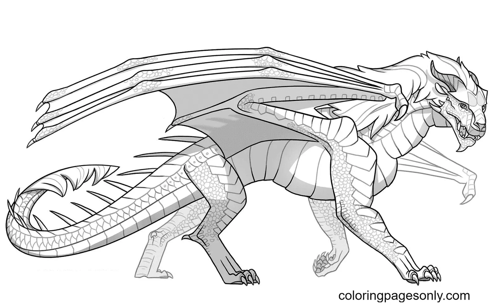 Alas De Fuego Para Colorear 1