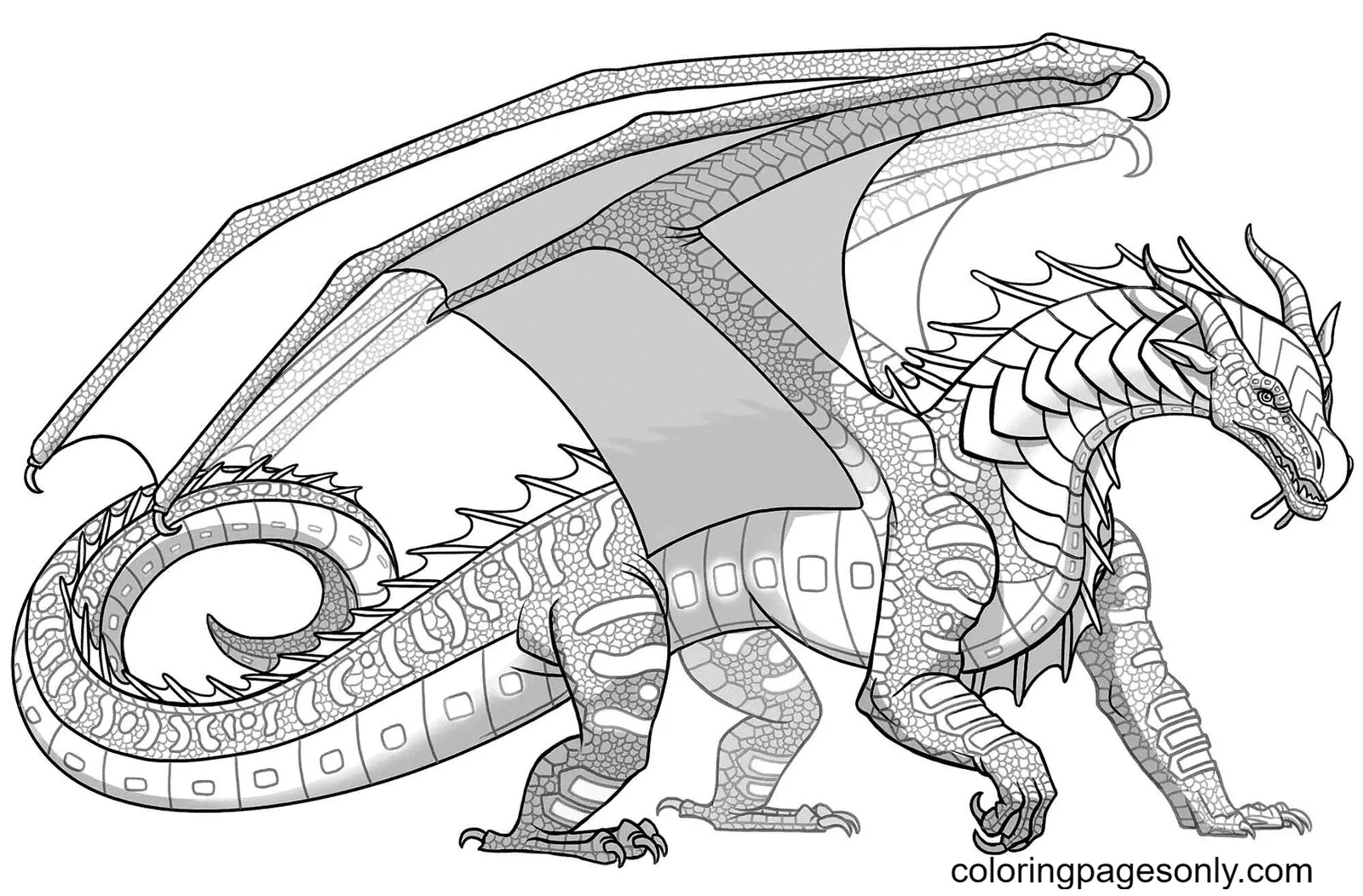 Alas De Fuego Para Colorear 17