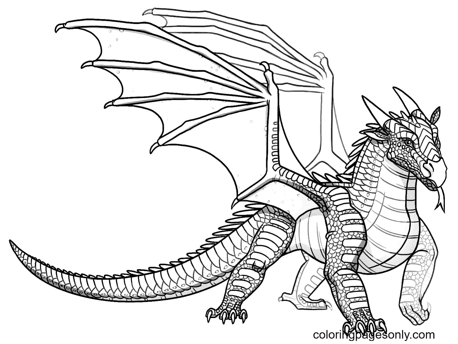 Alas De Fuego Para Colorear 20