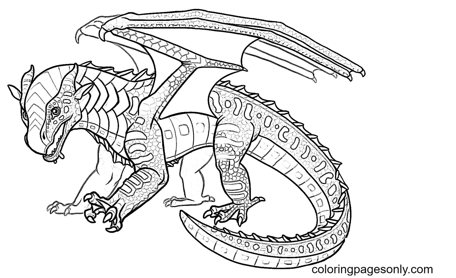Alas De Fuego Para Colorear 24