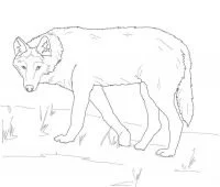 Wolf Coloring Pages 132