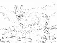 Lobo Para Colorear 99