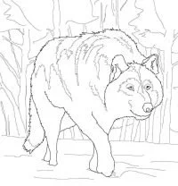 Desenhos de Lobo Com Asas Para Colorir 126