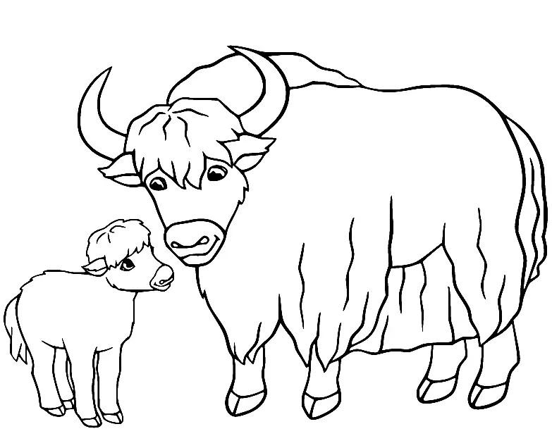 Yak Coloring Pages 39