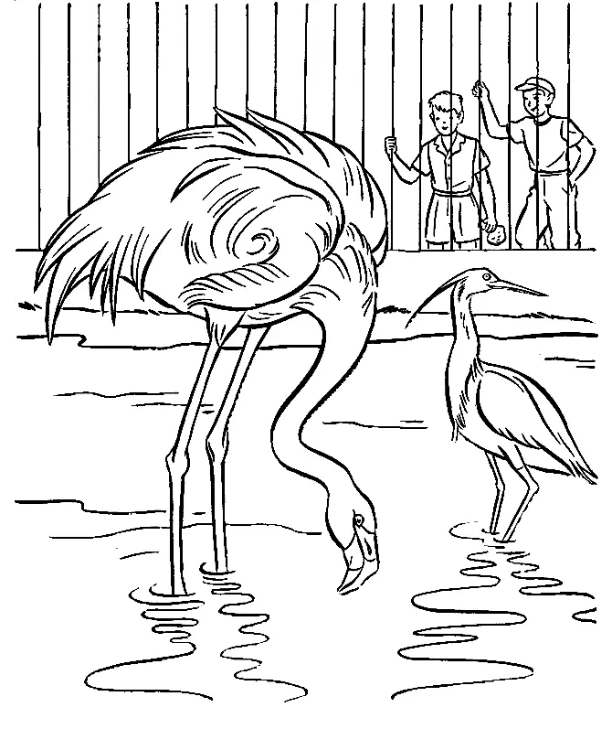Zoo Coloring Pages 33