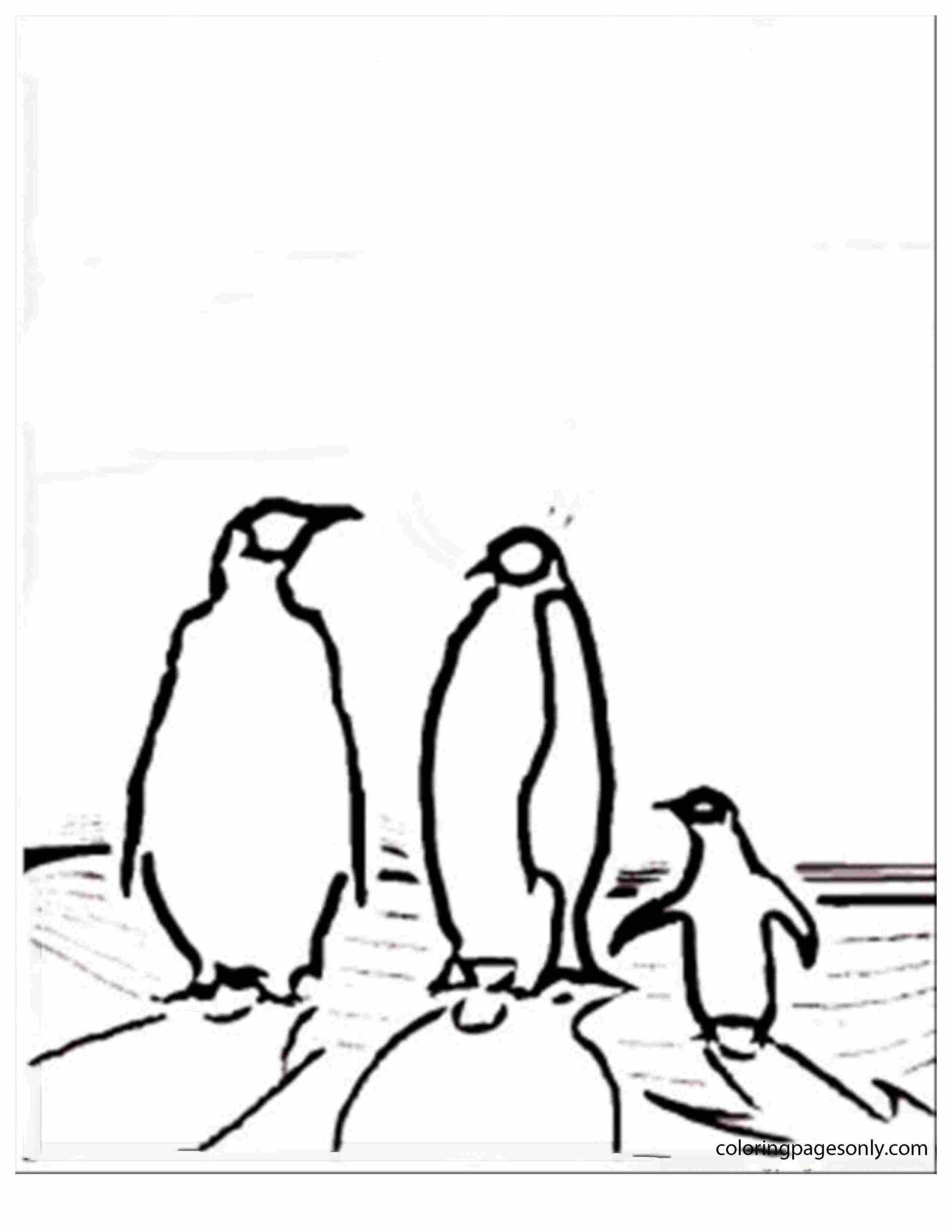 North and South poles Coloring Pages Printable for Free Download