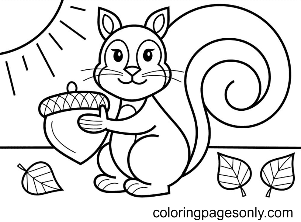 Squirrel Coloring Pages Printable for Free Download
