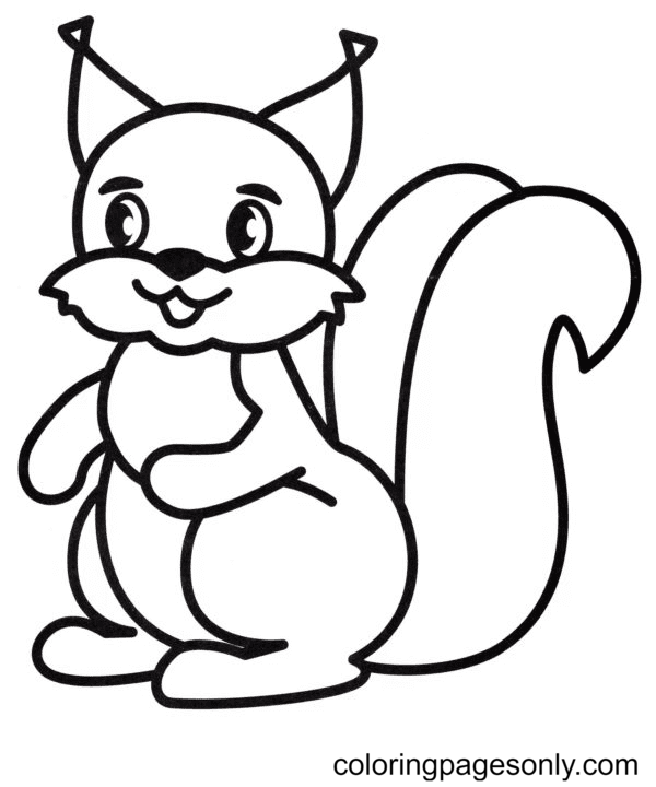 Squirrel Coloring Pages Printable for Free Download
