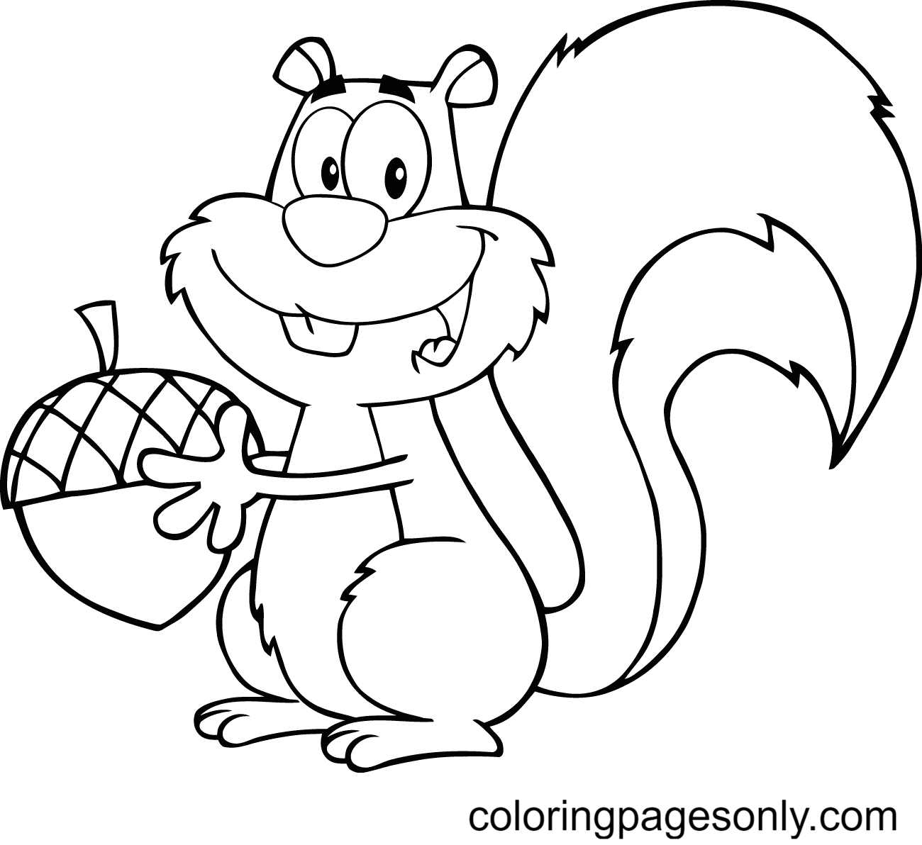 Squirrel Coloring Pages Printable for Free Download