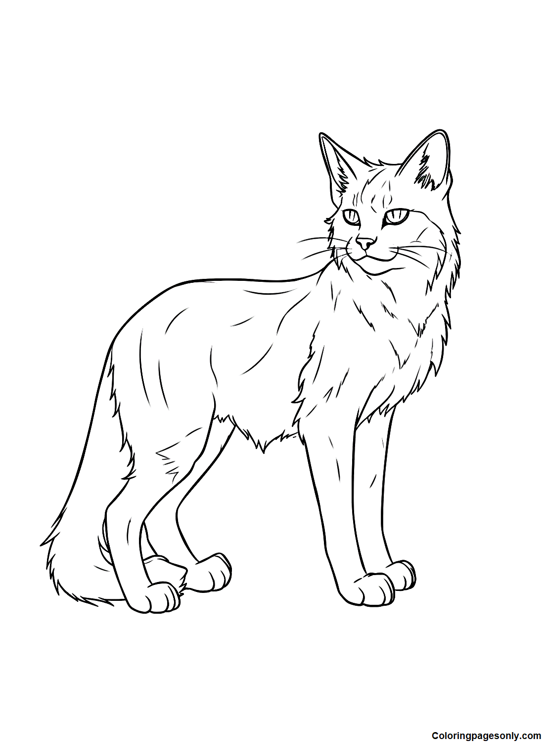Warrior Cats Coloring Pages Printable for Free Download