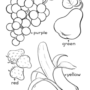 Two Cute Fruit Coloring Pages Are Shown In This Picture Outline Sketch  Drawing Vector, Fruits Images Drawing, Fruits Images Outline, Fruits Images  Sketch PNG and Vector with Transparent Background for Free Download