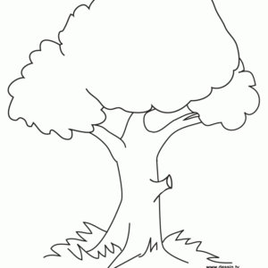 Tree outline drawing 02 / How to draw A Tree drawing step by step /  #artjanag - YouTube