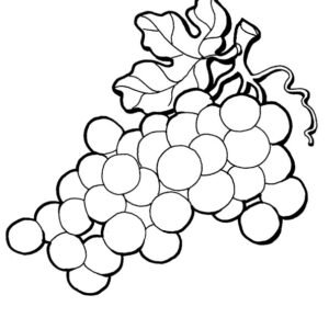 Grapes Coloring Page