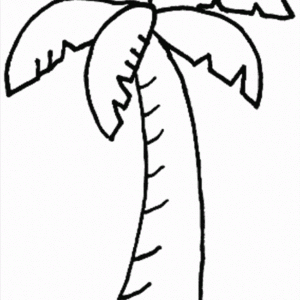 Palm Tree Coloring Pages