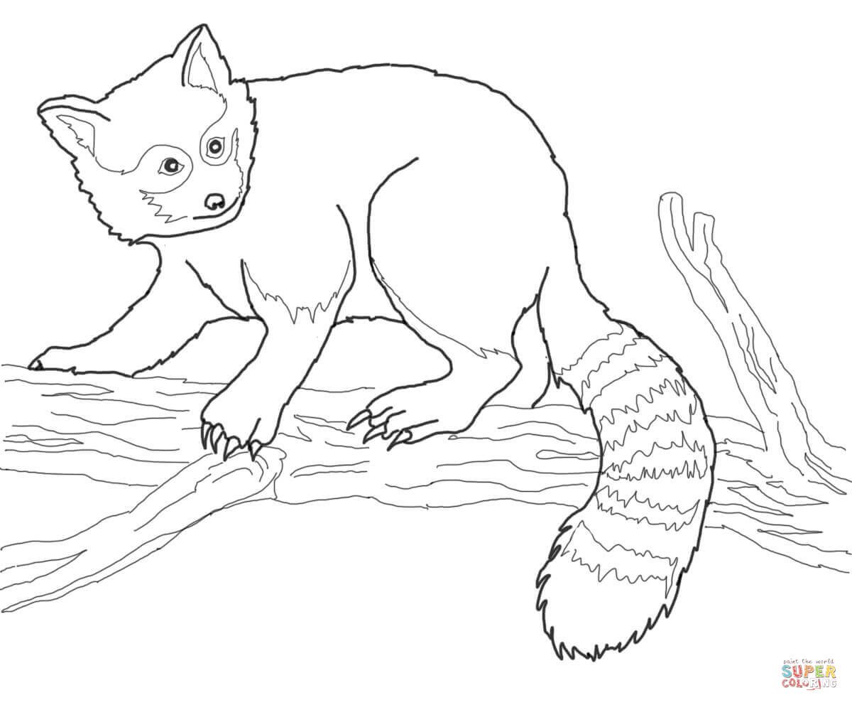 Panda na China - Pandas - Coloring Pages for Adults