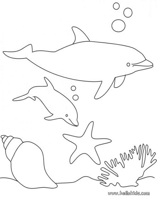 Coloring Books For Teens Relaxation: Dolphins & More: Advanced Ocean  Coloring Pages for Teenagers, Tweens, Older Kids, Boys & Girls, Underwater  Ocean (Paperback)